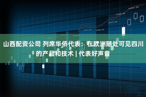 山西配资公司 列席华侨代表：在欧洲随处可见四川的产品和技术 | 代表好声音