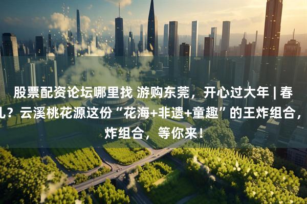 股票配资论坛哪里找 游购东莞，开心过大年 | 春节去哪儿？云溪桃花源这份“花海+非遗+童趣”的王炸组合，等你来！